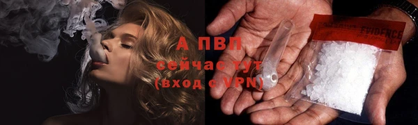 ECSTASY Абаза