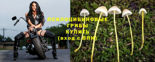 индика Абдулино