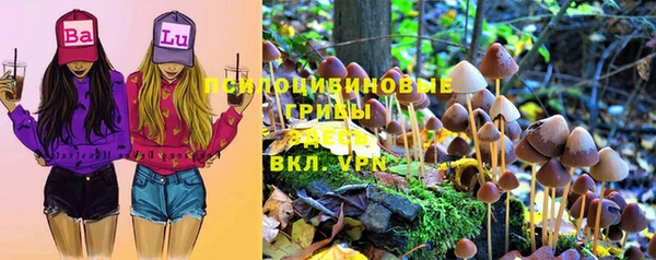 индика Абдулино