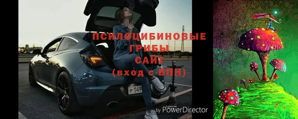 ГАЛЛЮЦИНОГЕННЫЕ ГРИБЫ Абинск