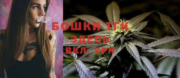 ECSTASY Абаза